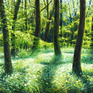 80272-Daslook-langs-de-Sluislaan-3-robdonders_art-HR-1