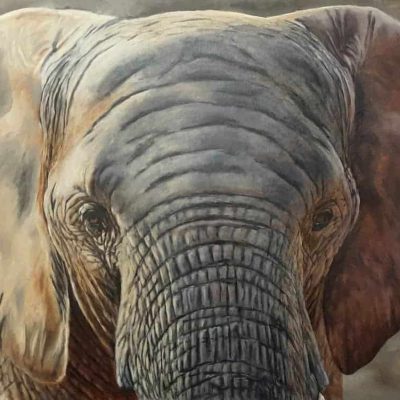 Bettina-Nienhaus-Orathai-Facing-Extinction
