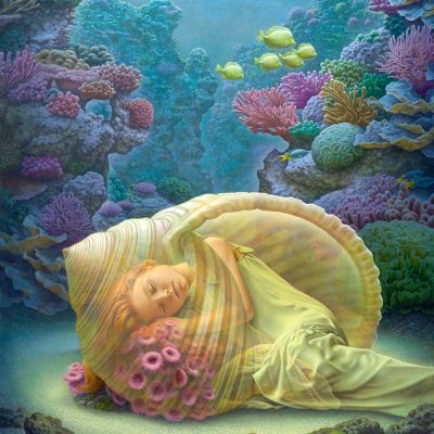 Coral-Dreams-Web-1