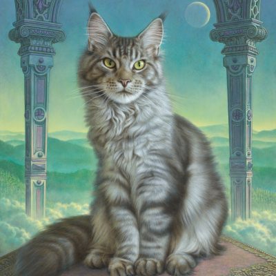 Dreamcat-WEB