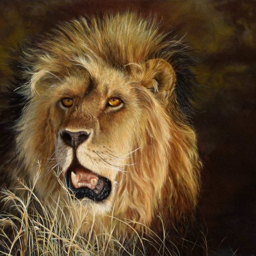 Legacy-of-the-Pride
