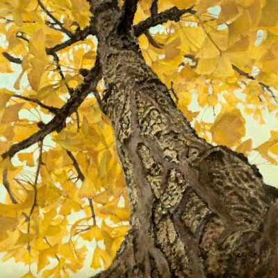 Onze-Ginkgo