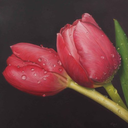 TulpenIIIklein