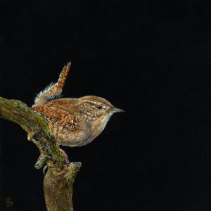 Winterkoninkje-7-kopie