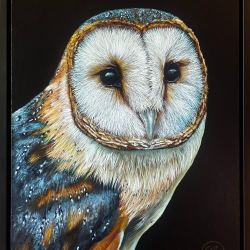 casper_baklijst_kerkuil1