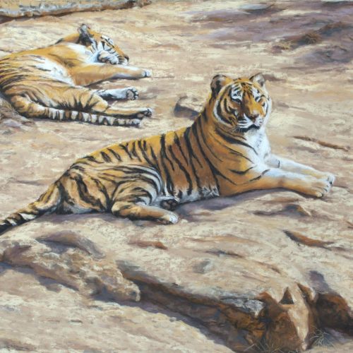 nienhausb_aperfectplace